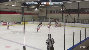 Replay: Home - 2024 Canucks U10 vs Don Mills U10 | Nov 30 @ 10 AM