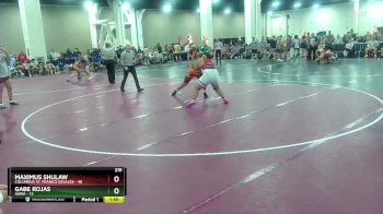 215 lbs Round 3 (10 Team) - Maximus Shulaw, Columbus St. Franics DeSales vs Gabe Rojas, AAWA