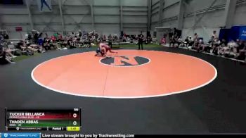 195 lbs Round 2 (8 Team) - Tucker Bellanca, Pennsylvania Blue vs Thaden Abbas, Iowa