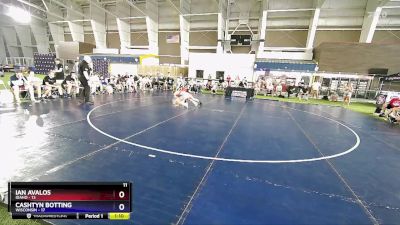 132 lbs Placement Matches (8 Team) - Ian Avalos, Idaho vs Cashtyn Botting, Wisconsin