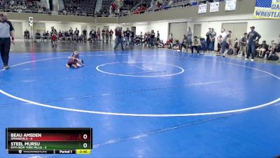 50 lbs Placement (4 Team) - Beau Amsden, Springfield vs Steel Mursu, NYM (New York Mills)