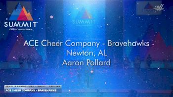 ACE Cheer Company - Bravehawks [2026 L5 Senior Coed - Small Prelims] 2026 The Summit
