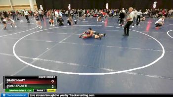 71 lbs Champ. Round 1 - Javier Salas Iii, IN vs Brady Myatt, IL