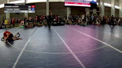 132 lbs Champ. Round 2 - Andrew Lucero, California vs Vincent Torrez, Idaho