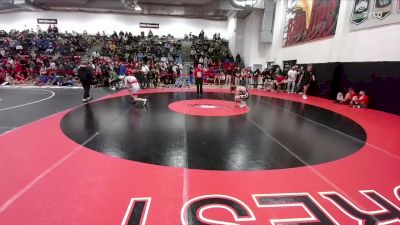 138 lbs Quarterfinal - Cade Picone, Eaglecrest vs Alex Rodriguez, Chatfield