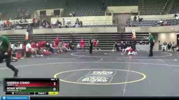 113 lbs Round 3 (4 Team) - Noah Woods, Washington vs Andrew Condo, Liberty