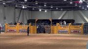 2017 Junior NFR: 10-13 Bull Riding Round One