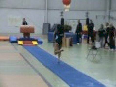 Peng Peng Lee 2010 Vault