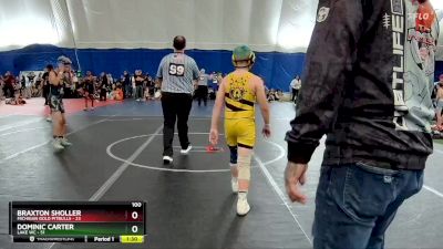 100 lbs Round 4 (6 Team) - Braxton Sholler, Michigan Gold Pitbulls vs Dominic Carter, Lake WC