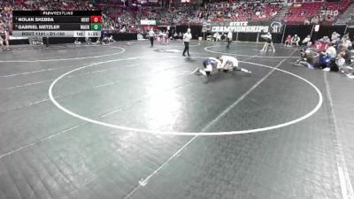 D1-150 lbs Quarterfinal - Nolan Skebba, Hortonville vs Gabriel Metzler, Waunakee