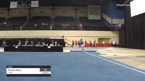 Parker Mann - Floor, Indigo - 2021 USA Gymnastics Development Program National Championships
