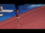 TopGym 2010 : Ericha Fassbender (USA) FX