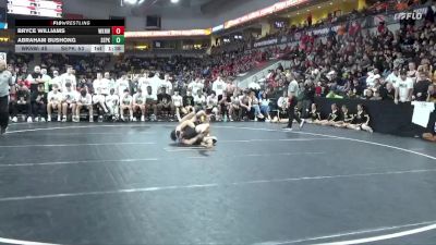 165 lbs Semis - Abraham Bushong, Southeast Polk vs Bryce Williams, Waukee Northwest