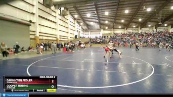 150 lbs Cons. Round 4 - Davin (Tisi) Fedler, Springville vs Cooper Robins, Syracuse