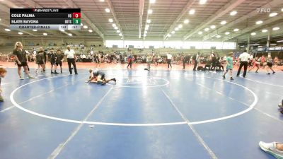 95 lbs Quarterfinal - Cole Palma, Ohio Gold vs Slate Bayona, Team Gotcha National