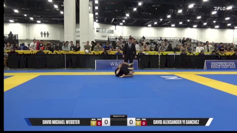 David Aleksander Yi Sanchez vs David Michael Webster 2025 World IBJJF Jiu-Jitsu No-Gi Championship