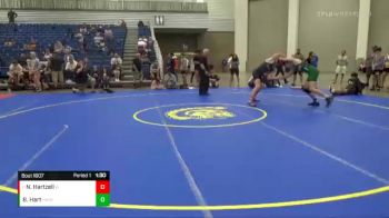 173 lbs Champ. Round 2 - Nick Hartzell, Perrysburg vs Ben Hart, Mason Comets