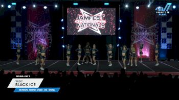 WIDC - Black Ice [2025 L3 Senior Coed - D2 - Small Day 2] 2025 JAMfest Cheer Super Nationals