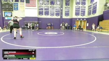 170 lbs Semifinal - Lexi Parker, Bloomington South vs Andi McHugh, Roncalli