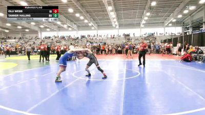 126 lbs Semifinal - Olli Webb, GA vs Tanner Halling, MD