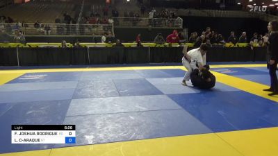FLAVIO JOSHUA RODRIGUEZ CUEVAS vs LUIS ENRIQUE CARDOZO-ARAQUE 2024 ...