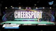 Cheer Athletics - Pensacola - Blue Angels [2024 CheerABILITIES - Exhibition Day 1] 2024 CHEERSPORT National All Star Cheerleading Championship