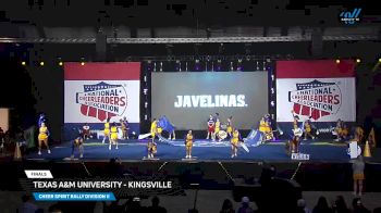 Texas A&M University - Kingsville [2025 Cheer Spirit Rally Division II Finals] 2025 NCA & NDA College Nationals