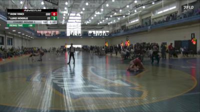 141 lbs Champ. Round 1 - Dom Vinci, Cortland State vs Luke Hoerle, Stevens