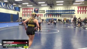 120 lbs Quarterfinal - Bree Swenson, Vinton-Shellsburg vs London Jaennette, South Tama County