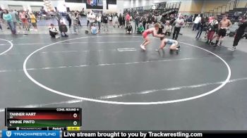 145 lbs Cons. Round 4 - Tanner Hart, WI vs Vinnie Pinto, IL
