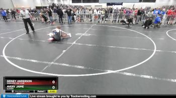 120 lbs Cons. Round 3 - Sidney Anderson, Shakopee Mat Club vs Avery Jaime, Illinois