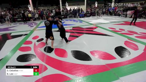 Gabriel Ceballos vs Bryan Lee 2022 F2W Colorado State Championships