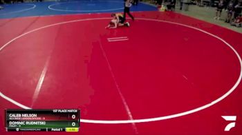 135 lbs Placement (4 Team) - Dominic Rudnitski, Foley vs Caleb Nelson, NLS (New London/Spicer)