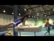 Meet the 11 Freshmen Wolverines of 2011