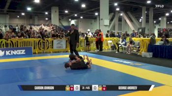 CARSON JOHNSON vs GEORGE ANDREEV 2025 American National IBJJF Jiu-Jitsu Open Championship