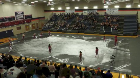 Vista Ridge HS "SA" at 2025 WGI Guard Austin Regional