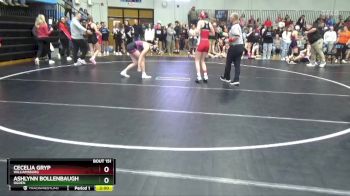 120 lbs Cons. Round 2 - Cecelia Gryp, Williamsburg vs Ashlynn Bollenbaugh, Ogden