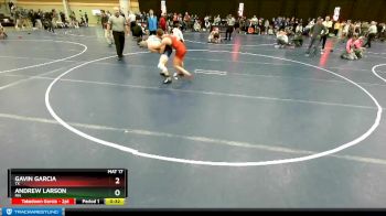 138 lbs Cons. Round 4 - Gavin Garcia, TX vs Andrew Larson, MN