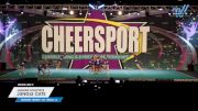 Jaguar Athletics - Jungle Cats [2025 L4 Senior - D2 - Small - A Day 2] 2025 CHEERSPORT National All Star Cheerleading Championship