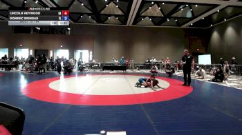 84 lbs 3rd Place Match - Lincoln Heywood, GA vs Dominic Bringas, FL