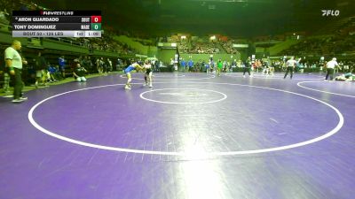 126 lbs Round Of 32 - Aron Guardado, South vs Tony Dominguez, Madera