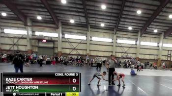 58 lbs Cons. Round 3 - Kaze Carter, Altamont Longhorn Wrestling vs Jett Houghton, Westlake