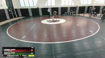 120 lbs Quarterfinal - Viviana Soto, Cheyenne East vs Bianca Maez, Green River