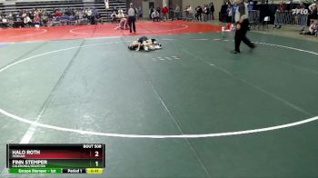 80 lbs Cons. Round 2 - Halo Roth, Perham vs Finn Stemper, Caledonia/Houston