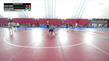 119-121 lbs Round 1 - Luke Hamel, Wisconsin Rapids vs Alex Adams, Minnewaska