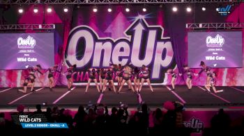 Fierce - Wild Cats [2025 L2 Senior - Small - A Day 3] 2025 One Up Grand Nationals