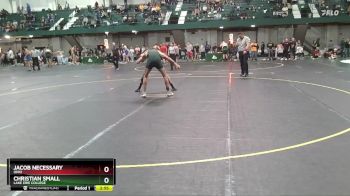 141 lbs Cons. Round 2 - Jacob Necessary, Ohio vs Christian Small, Lake Erie College