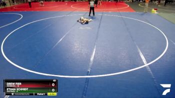 65 lbs Quarterfinals (8 Team) - Ethan Schmidt, Hastings vs Drew Fier, Minneota