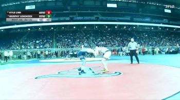 D2-132 lbs Cons. Semi - Kyle Link, Carleton Airport vs Murphy Lengkeek, Fruitport