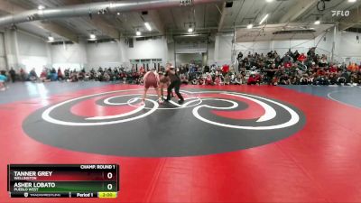 285 lbs Champ. Round 1 - Asher Lobato, Pueblo West vs Tanner Grey, Wellington